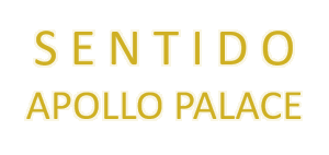 Sentido Logo Transparent