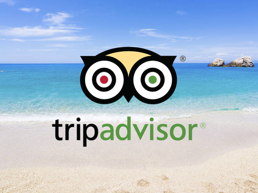 

trip_advisor_eyewide.jpg